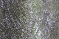 Whitley Bridge fibreglass roof work